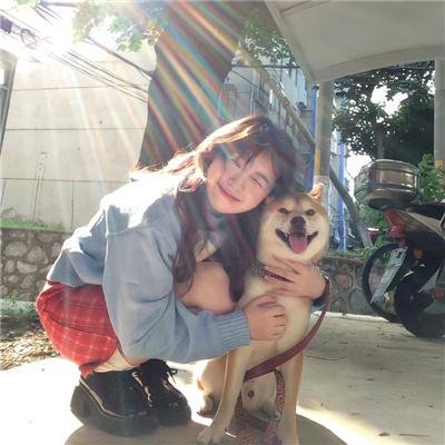 总裁夫人整顿娱乐圈